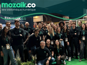 mozaik sur le terrain avec les elus CSE